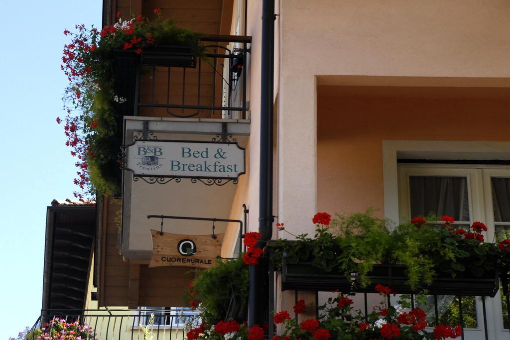 B&B Casa Riz Castello–Molina di Fiemme Kültér fotó