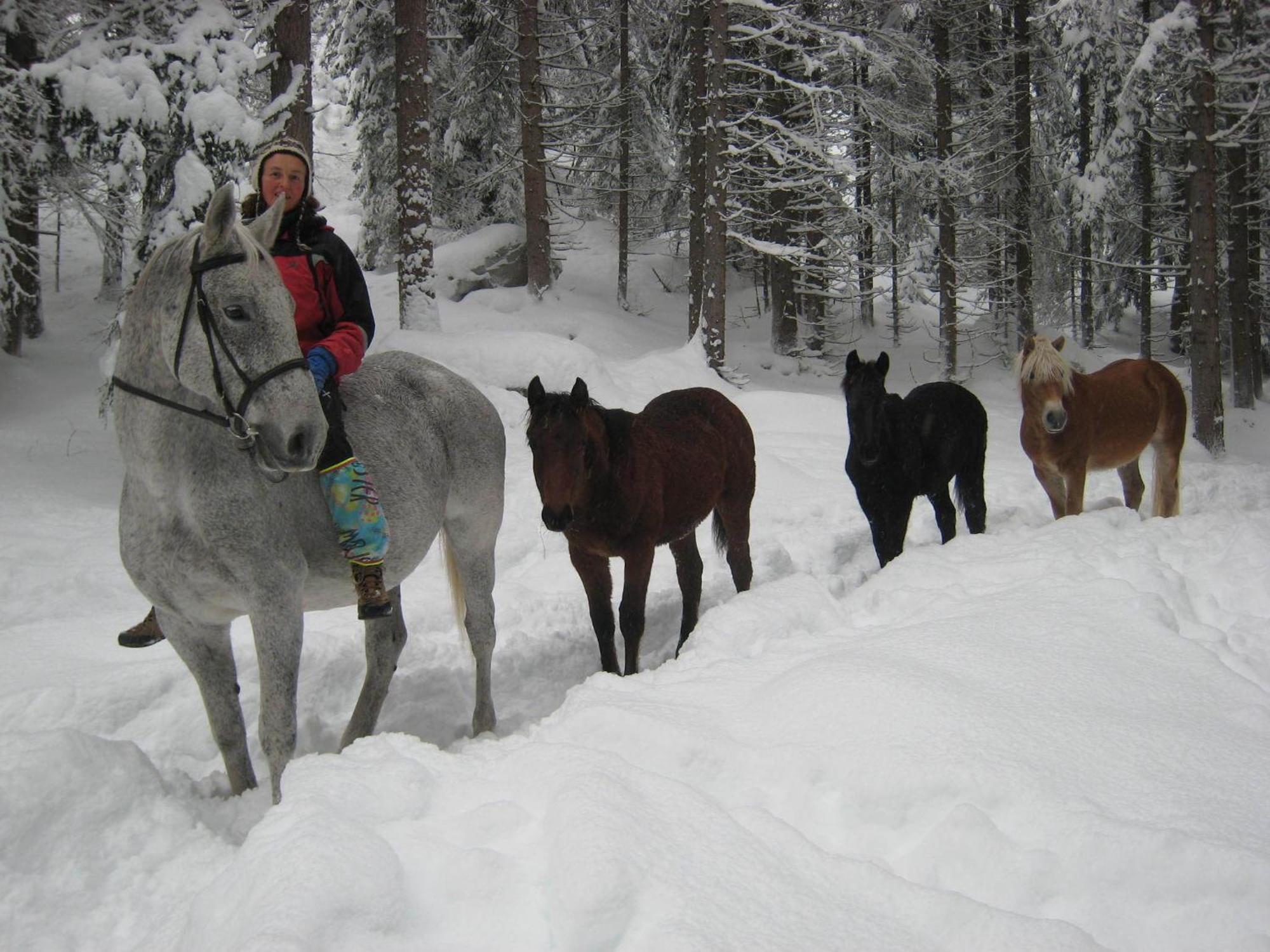B&B Casa Riz Castello–Molina di Fiemme Kültér fotó